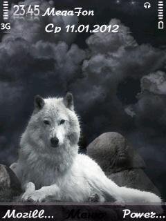 Night Guard