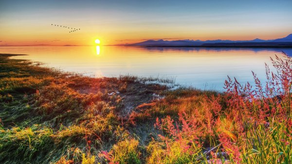 priroda solntse gorizont reka nature the sun horizon