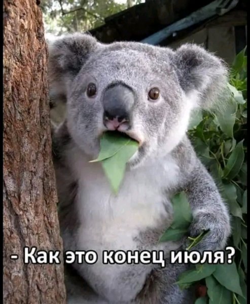 file_103352599