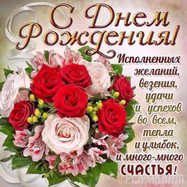 file_81288100