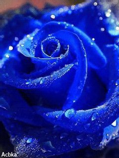 file_57379407