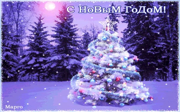 df7f5d7cf2b67439c8a1e0d69f21bfa3442ac86da1bfdef071fff434bae