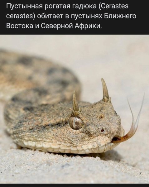 file_95080529