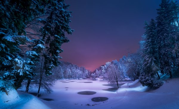 Winter Lake Forests Snow 466263
