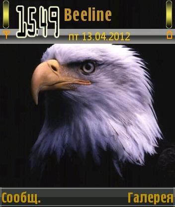 eagle1 wydoivia