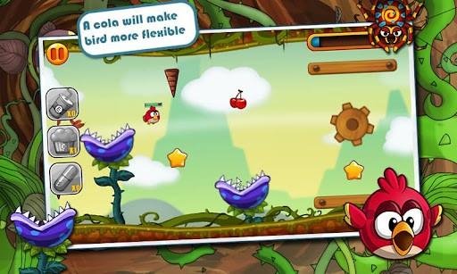 CherryBird