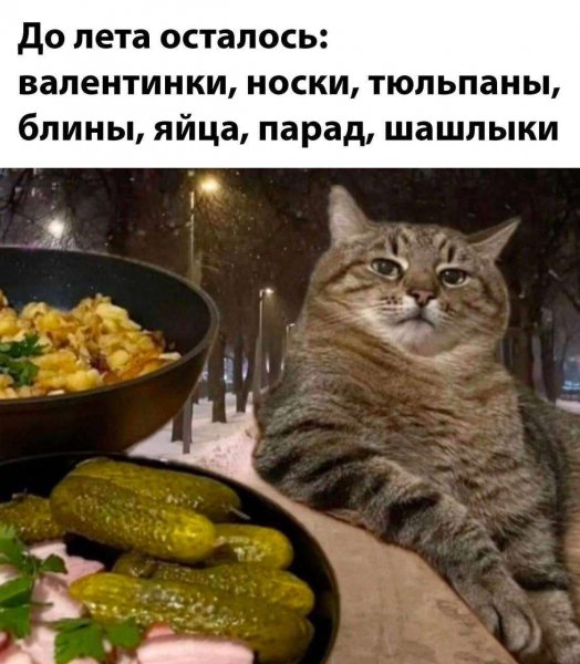 IMG 20260121 124538 950