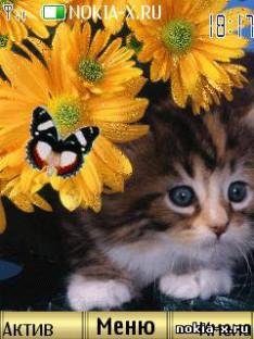 Котик в цветах