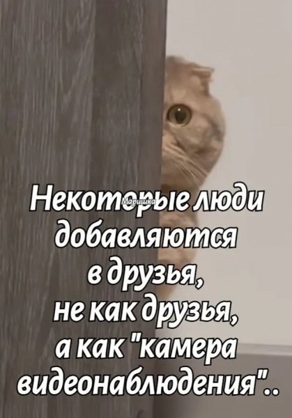 file_100843109