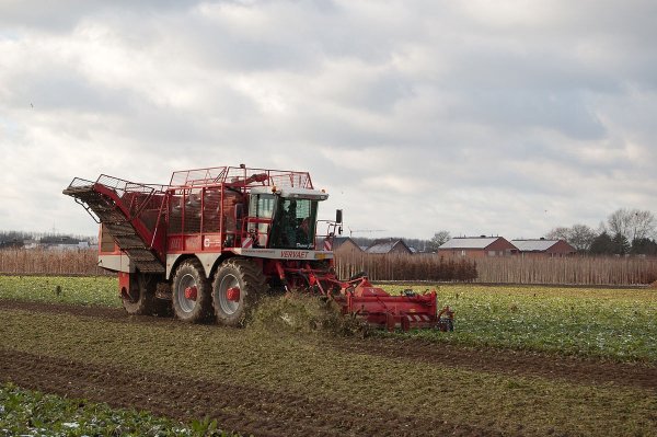 VERVAET BEET EATER 625