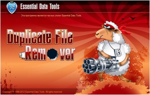 Duplicate File Remover v3.5.1287 Build 3