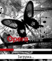 Black and White Butterfly