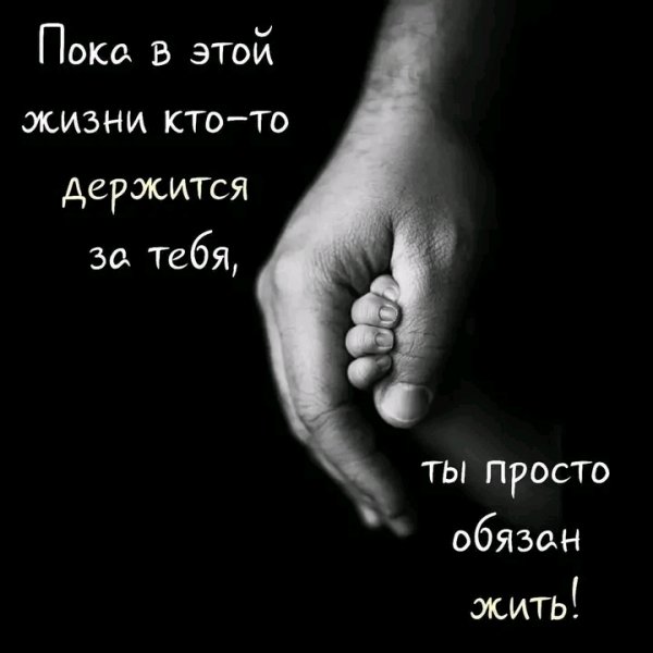 file_95661114