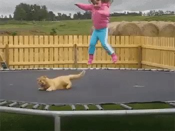 gif 1466376282