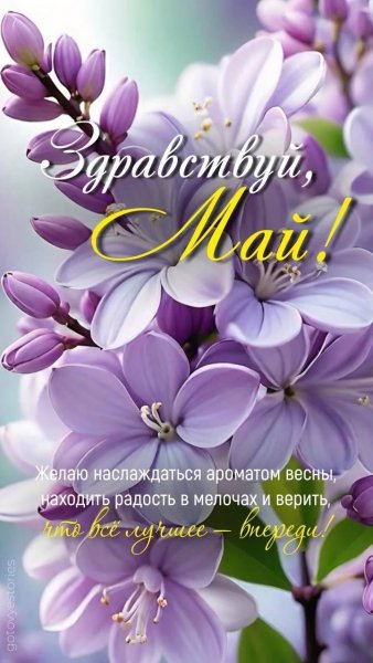 IMG 20260501 202306 848