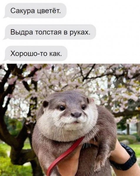 file_100072977