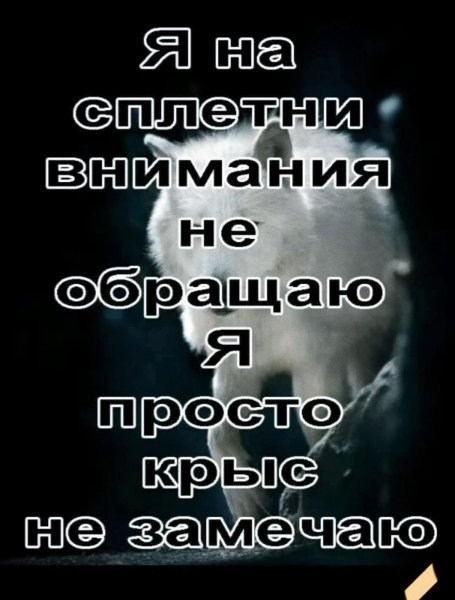IMG 20260119 032028