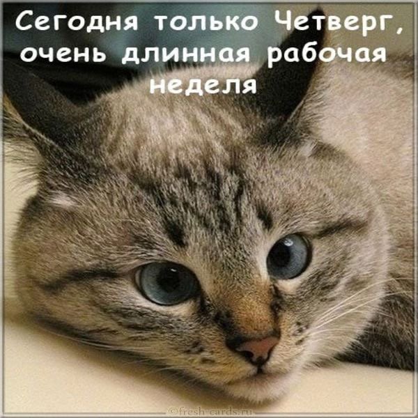 file_89820621