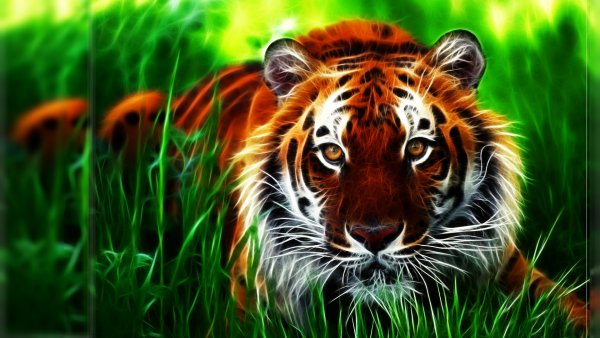 tiger-awesome