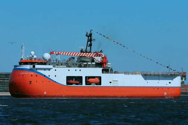 IMG viter59 101353
