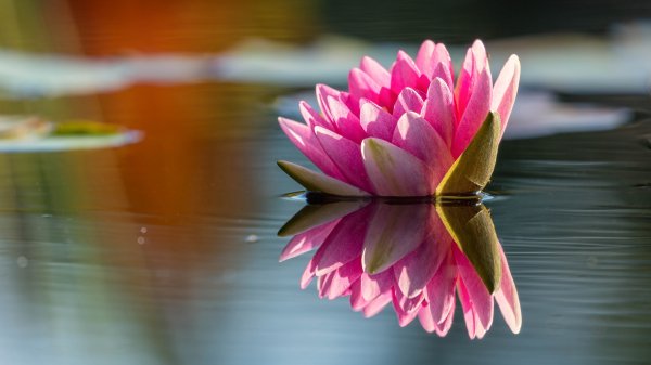 file_89875707