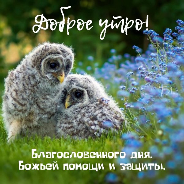 file_92970794