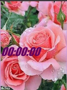 3 Розы анимация 2