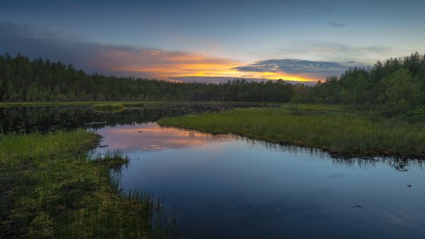 file_96398176