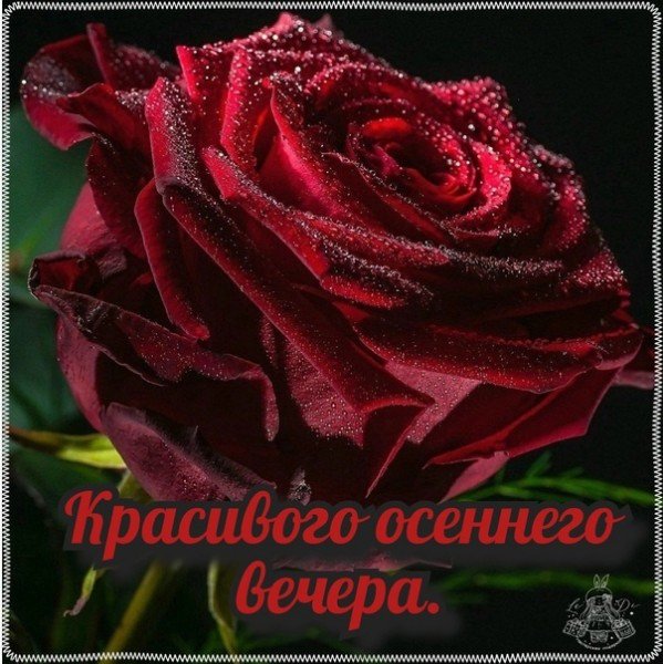 file_95077912