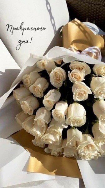 file_94848474