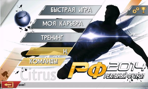 Real Football 2014 320x240 RU