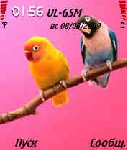 art.birds7-8.1