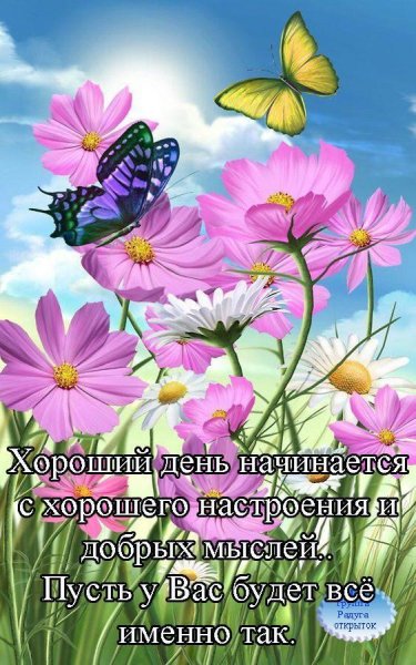 Хороший день начинается