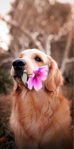 file_84798710
