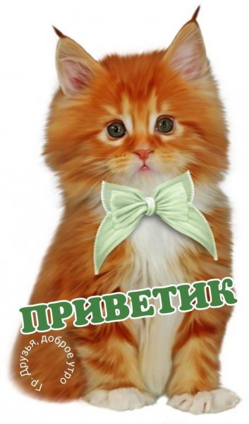 file_90227274