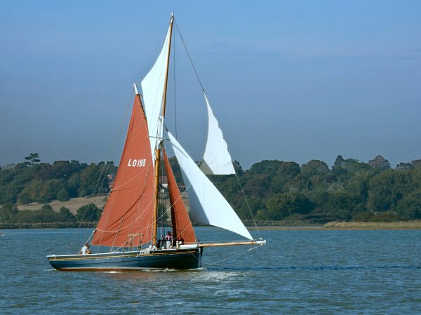 IMG 002953 viter59