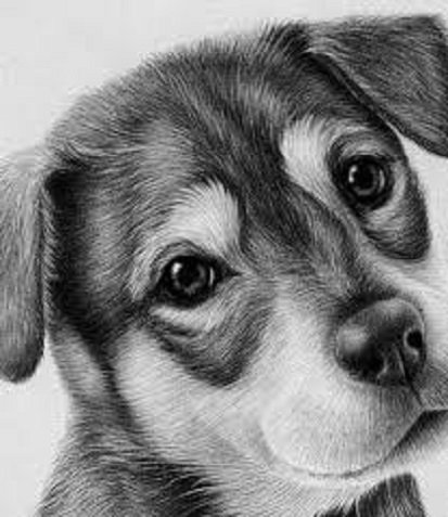 file_97711088