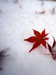 first snow