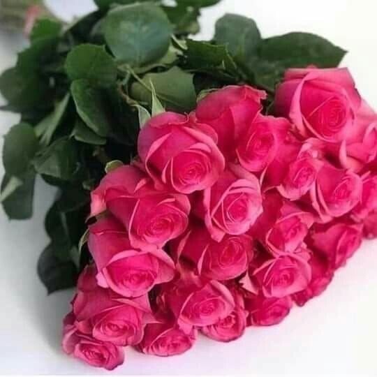 IMG 20250322 000622