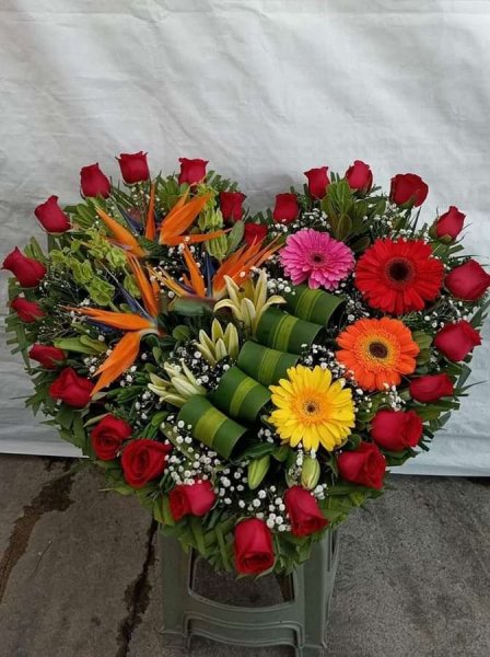 Img 3 1710981025631