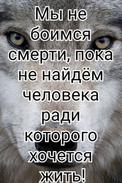 E65ddeaceacdc2acbacb1435b31db955