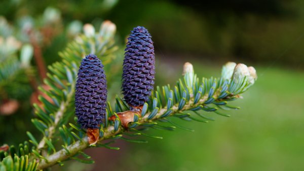 file_72860261