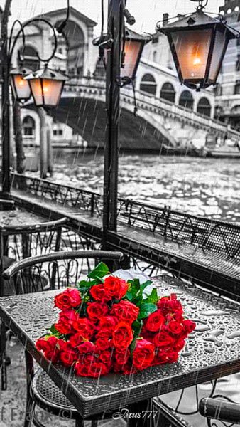 file_52825966