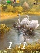 in-fauna swf