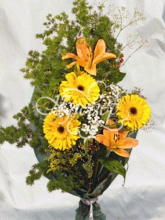 file_85274716