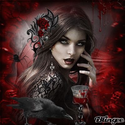 fb394bc506c4a7172772fcbb8a5f