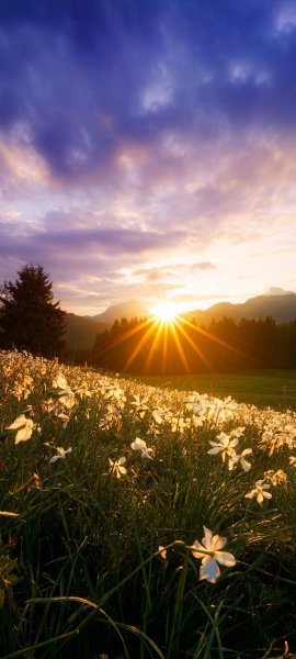 file_100963055