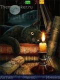 Кот книголюб