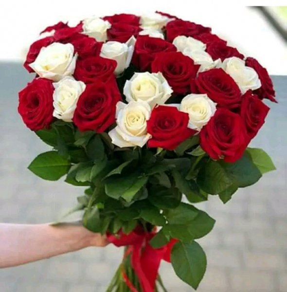 file_95827266