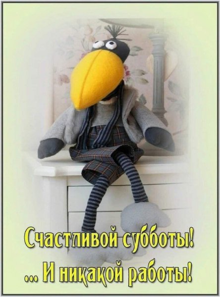 IMG-20260516-WA0003
